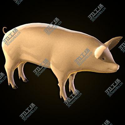 images/goods_img/20210312/Pig anatomy/5.jpg